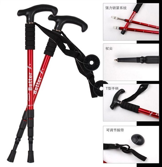 Buy Alloy Hiking Pole trekking cane Malaysia