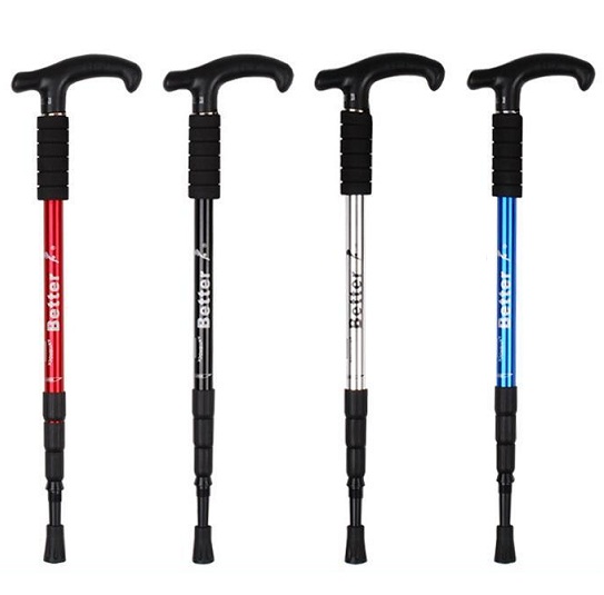 Buy Alloy Hiking Pole trekking cane Malaysia